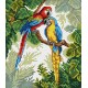 Cross Stitch Kit Parrots SM-033