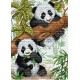 Cross Stitch Kit Pandas SM-050