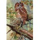 Cross Stitch Kit In Forest Lace SRK-498