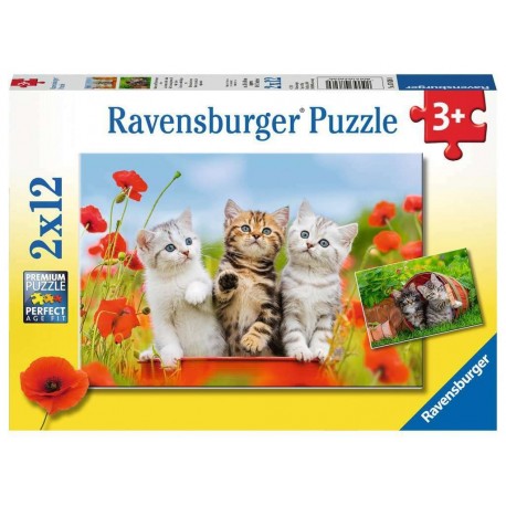 Puzzle 2x12 Kittens