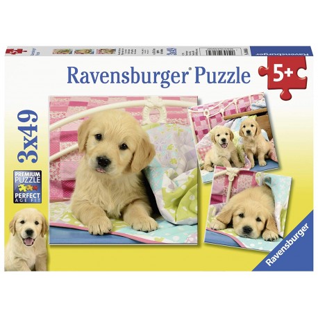 Puzzle 3X49 Puppies - RAVENSBURGER dėlionė