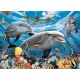 Puzzle 60 Dolphins