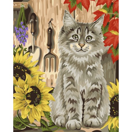 Tapybos Pagal Skaičius Rinkinys - Kitten and Sunflowers 40x50 cm H058