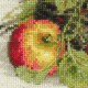 Ripe Apples - Cross Stitch Kit from RIOLIS Ref. no.:1450