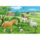 Baby Animals on The Farm 2 x 12 Puzzles