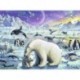 Puzzle 300 Polar Animals - RAVENSBURGER dėlionė