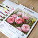 Summer Bloom SLETI952 - Cross Stitch Kit