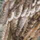 Eagle Owl - Cross Stitch Kit from RIOLIS Ref. no.:0038 PT