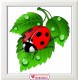 Diamond painting Ladybug AZ-1115 Size: 20x20