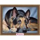 Diamond painting Sheepdog AZ-1418 Size: 40х30