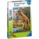 Giraffes in Africa 150 Piece Puzzle - RAVENSBURGER dėlionė