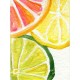Deimantinis paveikslas Citrus Fresh WD281 15*20 cm