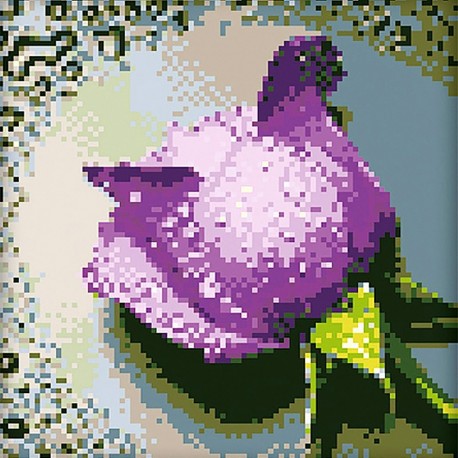 Diamond painting Lilac Rose AZ-16 Size: 22х24