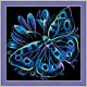 Deimantinis paveikslas Neon Butterfly AZ-1713 25x25cm