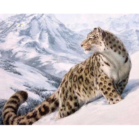Diamond painting Snow Leopard AZ-1520 Size: 50х40