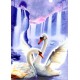 Diamond painting Swan Pair AZ-197 Size: 50x67