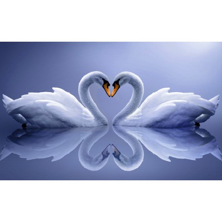 Diamond painting Swans AZ-210 Size: 50x80