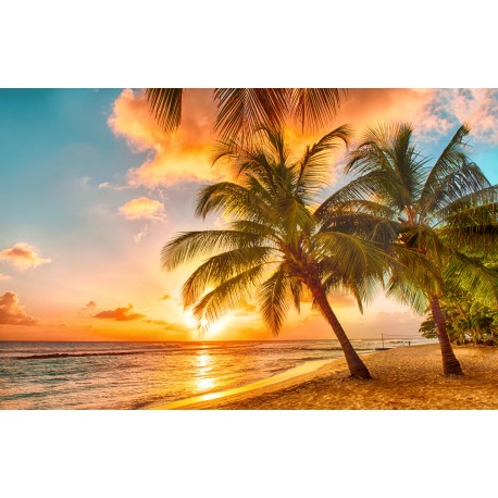 Deimantinis paveikslas Tropical Sunset AZ-1063 Dydis: 60х38