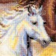 In the Sunset - Cross Stitch Kit from RIOLIS Ref. no.:100/038
