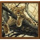 RIOLIS – Create It Yourself – Siuvinėjimo rinkinys „Leopardas“ 937 (60x60 cm)