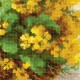 Yellow Rapeseed - Cross Stitch Kit from RIOLIS Ref. no.:1502