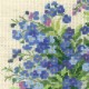 Forget Me Nots - Cross Stitch Kit from RIOLIS Ref. no.:1496