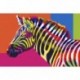 Paint by number kit: Rainbow Zebra 29.7x21cm WA4107