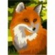 Tapybos pagal skaičius rinkinys: Red fox  16.5x13 cm MINI114