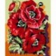 Paint by number kit: King poppies 16.5x13 cm MINI025