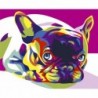 Paint by number kit: French Bulldog 16.5x13 cm MINI017