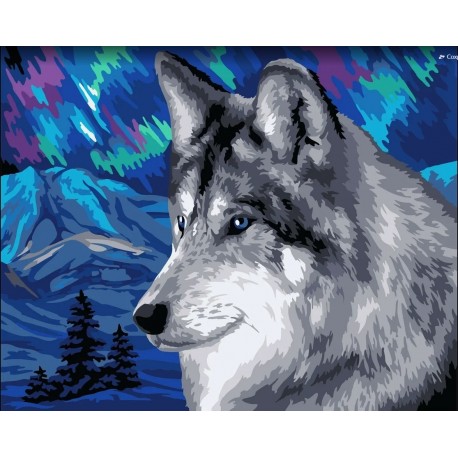 Tapybos pagal skaičius rinkinys: Polar wolf 40x50 cm H150