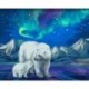 Paint by number kit: Aurora Borealis 40x50 cm H095