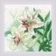 White Lilies siuvinėjimo rinkinys iš RIOLIS Nr.: 1915
