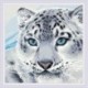Snow Leopard  - Deimantinės Mozaikos rinkinys iš RIOLIS Nr.: AM0040