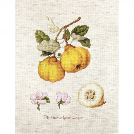 The Pear Shaped Quince SBA22430 - Cross Stitch Kit