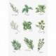 Spices and Herbs SB2345 - Cross Stitch Kit
