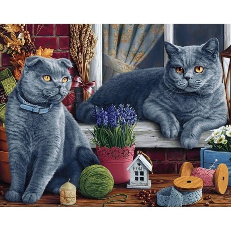 Deimantinis paveikslas British Shorthair Cats WD2483