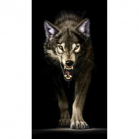 Deimantinis paveikslas Stalking Wolf WD2410
