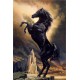 Diamond painting kit Strong Horse WD2391