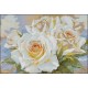 Alisa Siuvinėjimo rinkinys "Baltos rožės" 2-32 (40x27 cm)