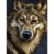 Wolf Diamond Painting Set CS2574