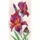Irises Diamond Painting Set CS2577
