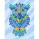 Colourful Owl Deimantinio Paveikslo komplektas CS2544