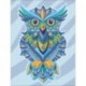 Colourful Owl Deimantinio Paveikslo komplektas CS2544