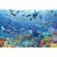 Ravensburger Jigsaw Puzzle: Colorful Underwater