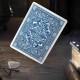 Harry Potter Raven Claw Mėlynos žaidimo kortos
