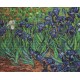 Irises, reproduction of Van Gogh SG444 - Cross Stitch Kit by Luca-s