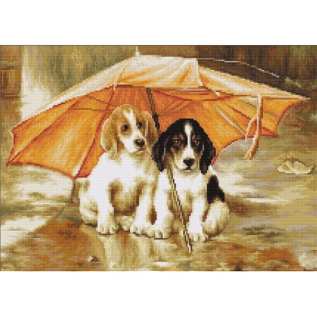 Couple under an Umbrella SB550