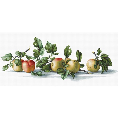 RARE find: Apples SB2265 - Cross Stitch Kit by Luca-s
