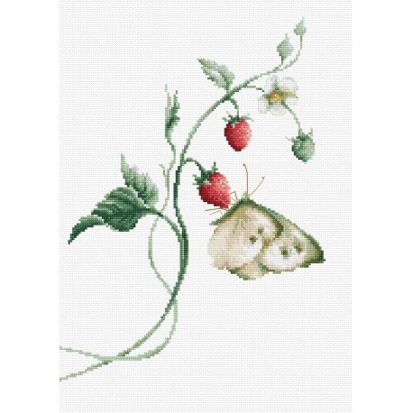 RARE find: Aroma of Summer SB2268 - Cross Stitch Kit by Luca-s